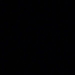 Meet your Posher, Kierra